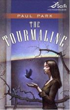Cover for The Tourmaline, by Paul Park
